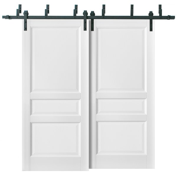 Sartodoors Barn Bypass Interior Door, 84" x 80", White LUCIA31BBB-BEM-84